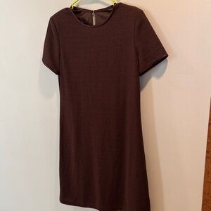 Donna Ricco Short Sleeve Shift Dress - Chocolate Brown Size Small